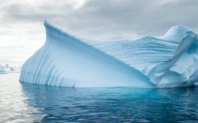 Introduction: Tackling the Environmental Challenges of the 21st Century