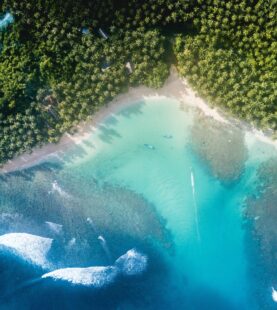 Technology for Environmental Impact