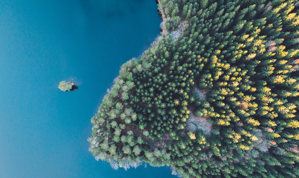jonas-jacobsson-624347-unsplash jonas-jacobsson-624347-unsplash
