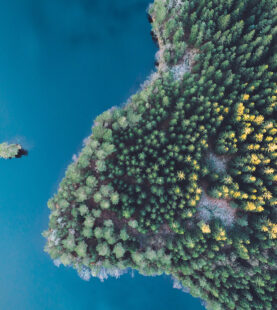 Business for a Sustainable Future